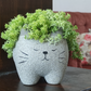 Kitty cat cement pot - حوض كيتي كات الإسمنتي