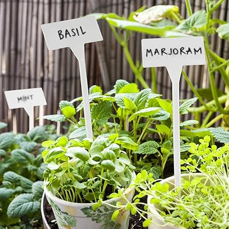 5 Pcs Plastic Plant Labels - بطاقات تحديد النباتات ( ليبل ) عدد 5