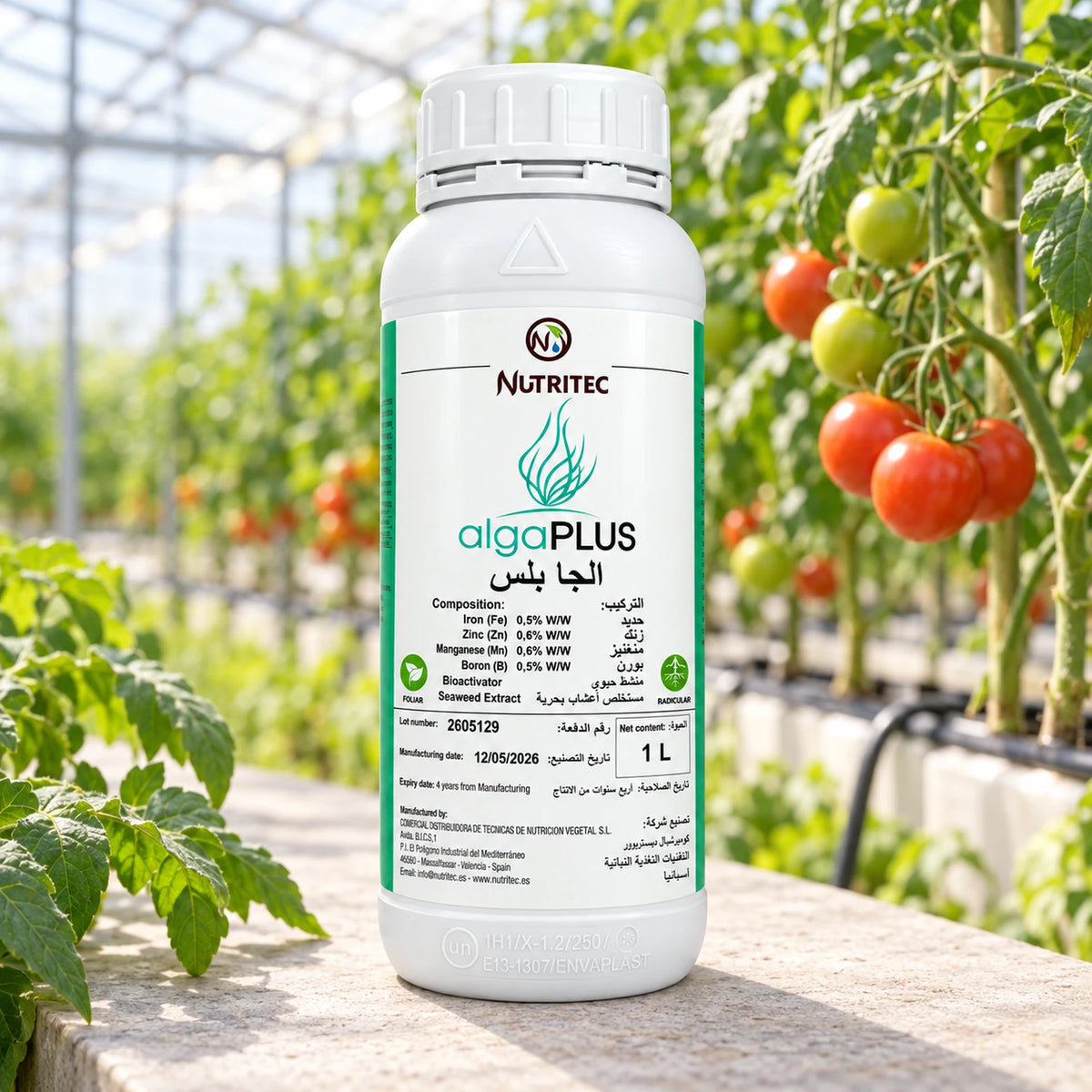 فوائد واستخدامات سماد Nutritec Alga Plus لدعم نمو الجذور والتزهير والعقد