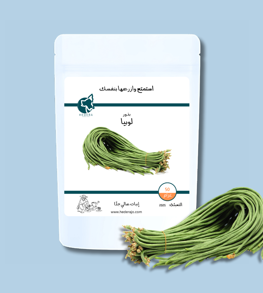 بذور لوبيا عالية الجودة - High Quality Cowpea Seeds