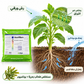 أسكوفيلوم Ascophyllum من JISA – مستخلص طحالب بحرية لتنشيط نمو النبات 1 كغم