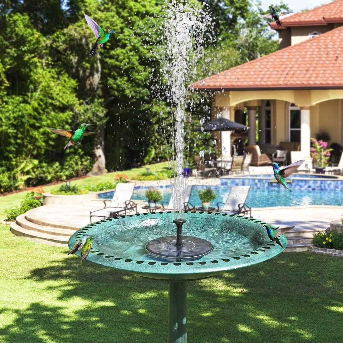 Solar Fountain Water Pump for Bird Bath - نافورة تعمل بالطاقة الشمسية مع إضاءة ليلية مميزة