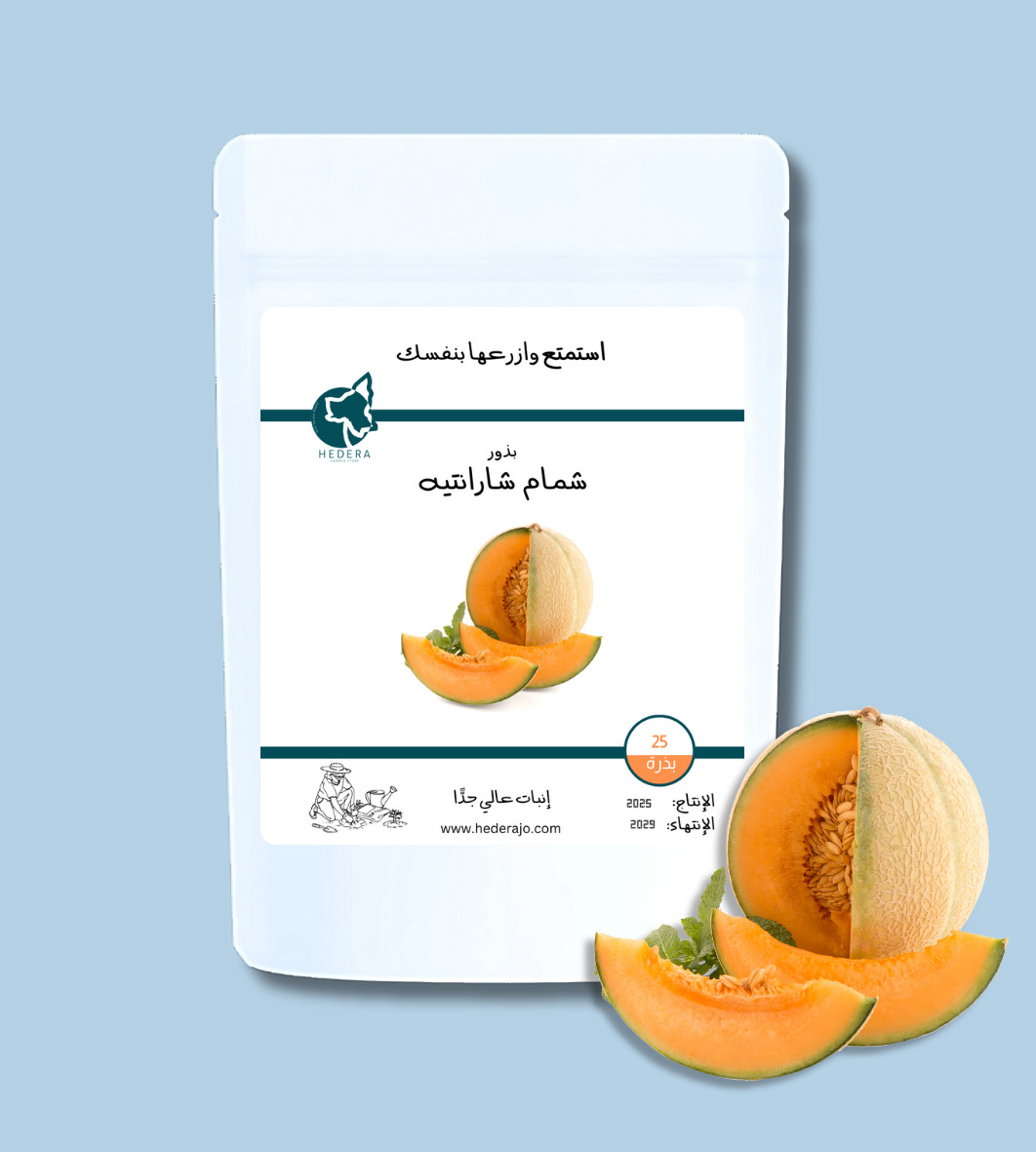 بذور شمام شارنتيه عالية الجودة - High Quality Melon Seeds