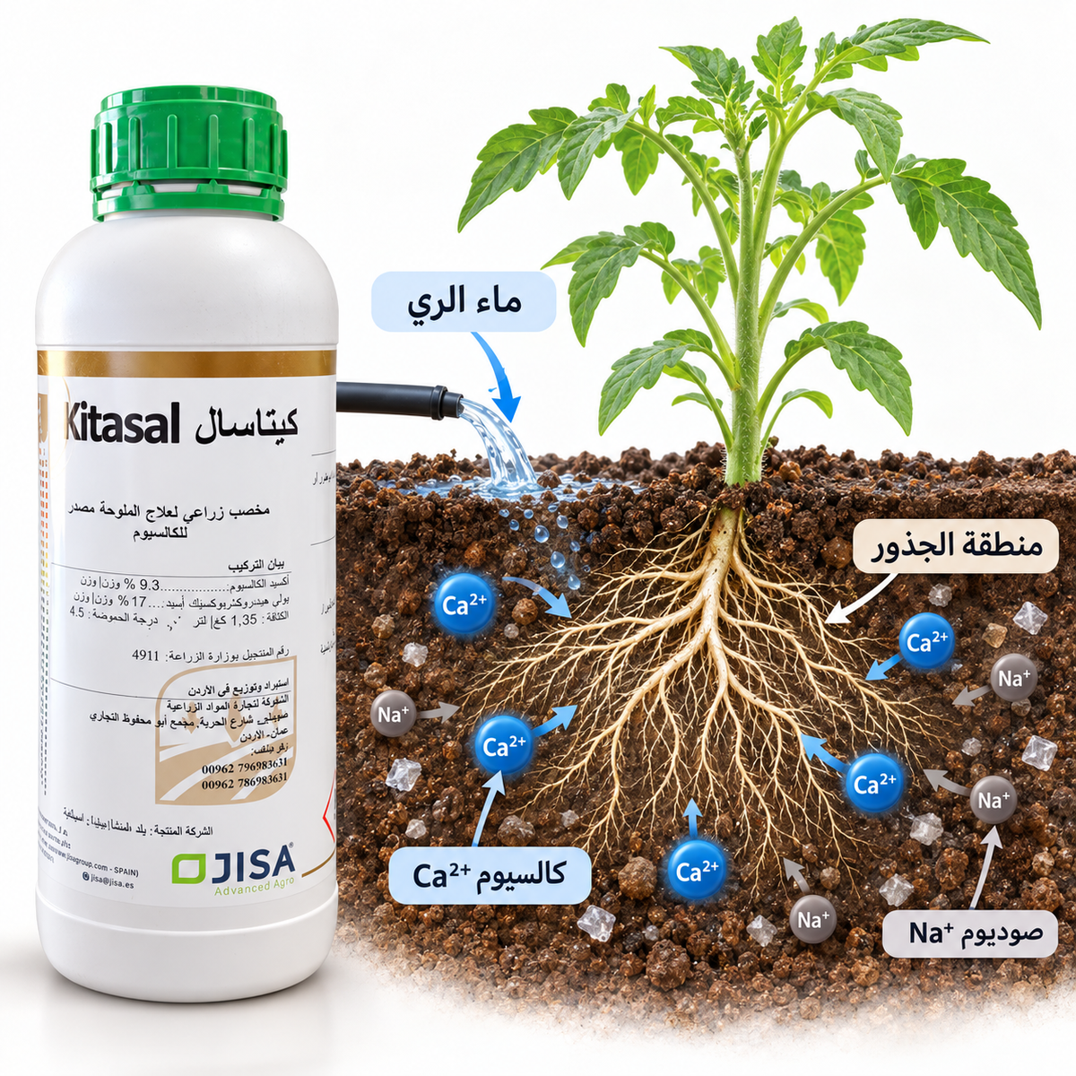 طريقة استخدام كيتاسال مع مياه الري في منطقة الجذور لإدارة ملوحة التربة