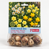 أبصال نرجس مكس – 7 أبصال - Narcissus Mix