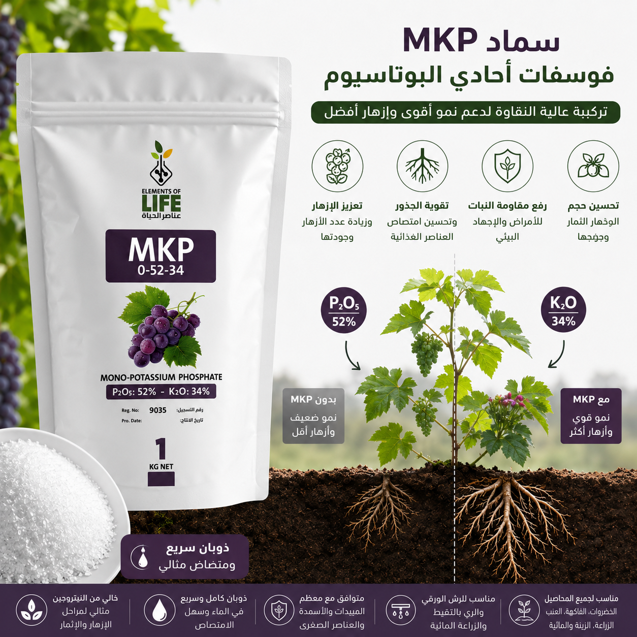 سماد MKP فوائد وتحليل - إنفوغرافيك عنب