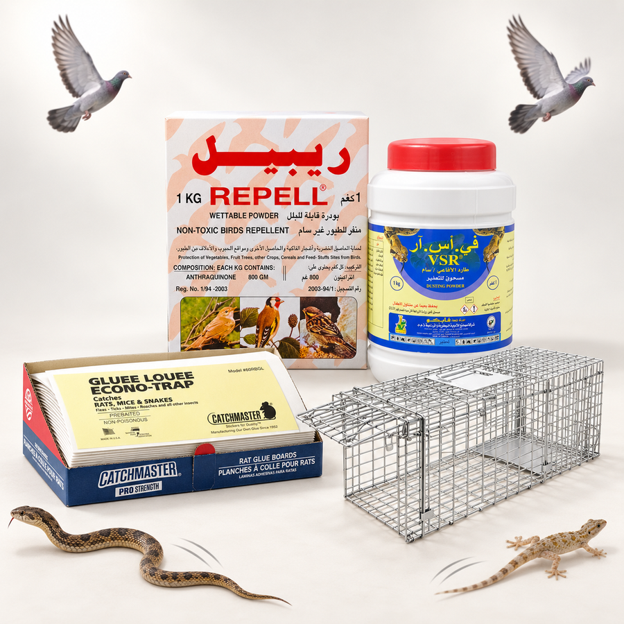 الزواحف والطيور