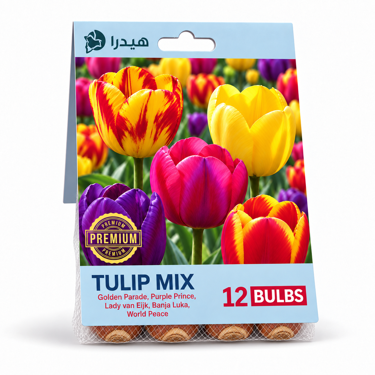 أبصال تيوليب مكس – 12 بصلة - Tulip Mix