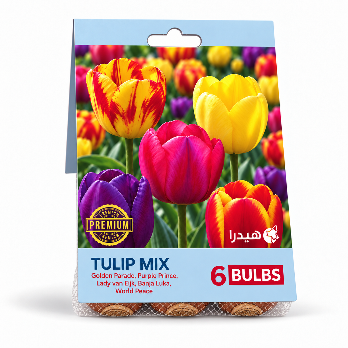 أبصال تيوليب مكس – 6 أبصال - Tulip Mix