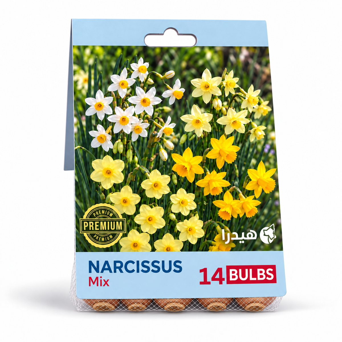 أبصال نرجس مكس – 14 بصلة - Narcissus Mix