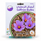 عبوة أبصال الزعفران 10 كورمات للزراعة، الواجهة الأمامية