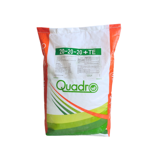 Quadro 20-20-20 + TE 10 kg - سماد كوادرو الإيطالي 20-20-20 / 10 كغ