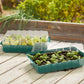 PARKSIDE Propagator Set - مجموعة تكثير النباتات من PARKSIDE