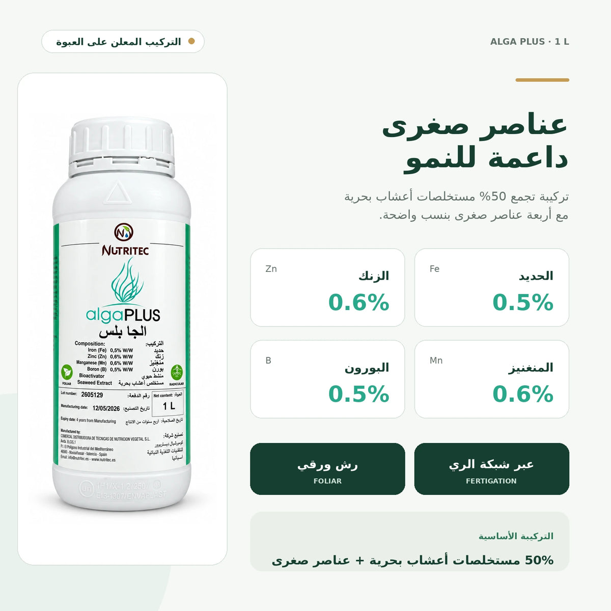 سماد Nutritec Alga Plus 1 لتر بين نباتات الطماطم داخل البيت المحمي