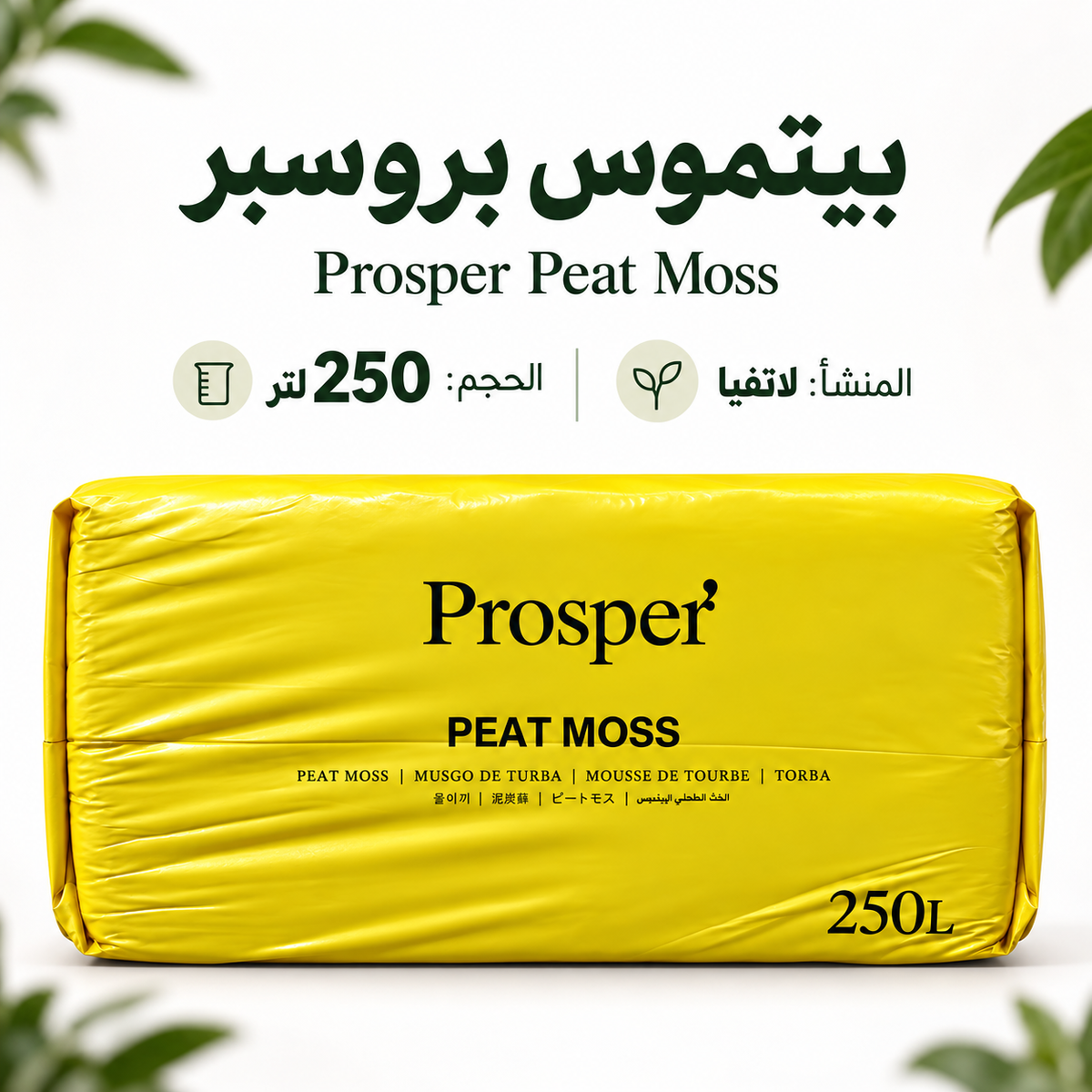 بطاقة معلومات بيتموس بروسبر بحجم 250 لتر ومنشأ لاتفيا.