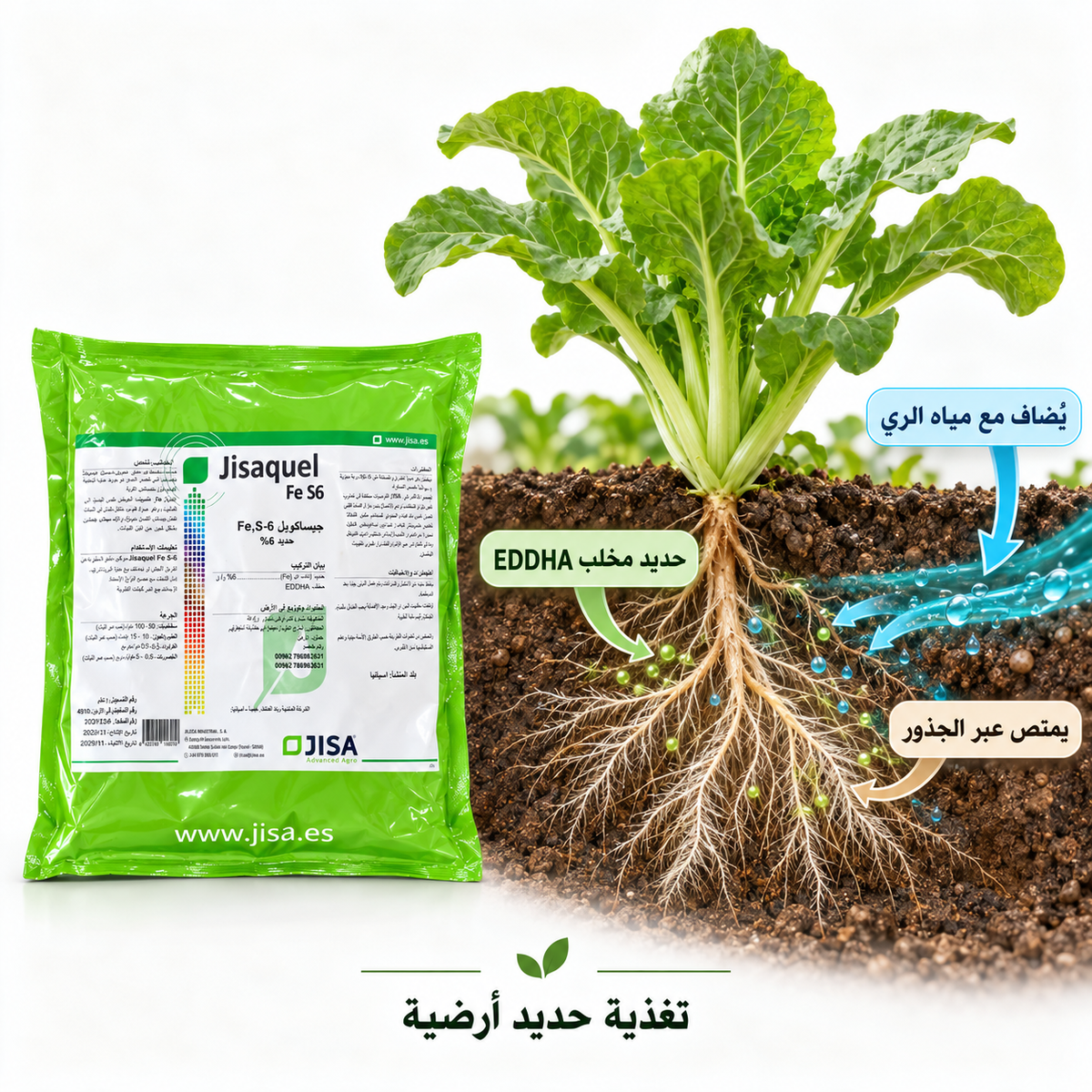 فوائد حديد جيساكويل - هيدرا 