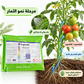 طريقة استخدام Engormax من JISA خلال مرحلة نمو وامتلاء الثمار