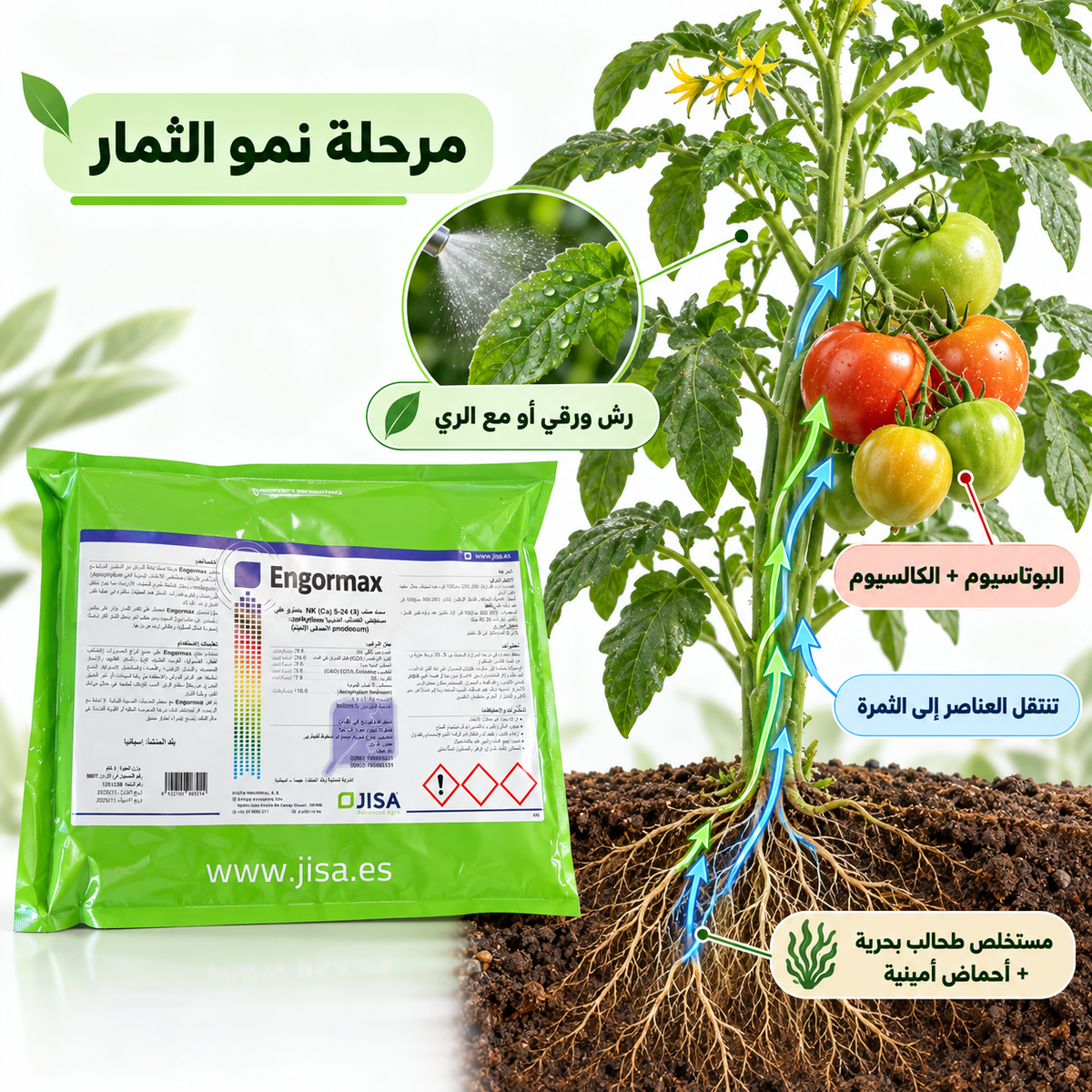 طريقة استخدام Engormax من JISA خلال مرحلة نمو وامتلاء الثمار