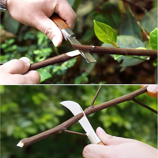 سكين تطعيم مزدوج الشفرة بمقبض خشبي - Double Blade Grafting Knife with Wooden Handle