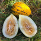 بذور شمام كيركاغاج – Kirkagac Melon Seeds