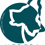 Hedera logo