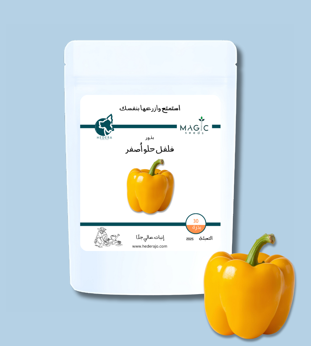 بذور فلفل حلو أصفر عالية الجودة – High Quality Yellow Sweet Pepper Seeds