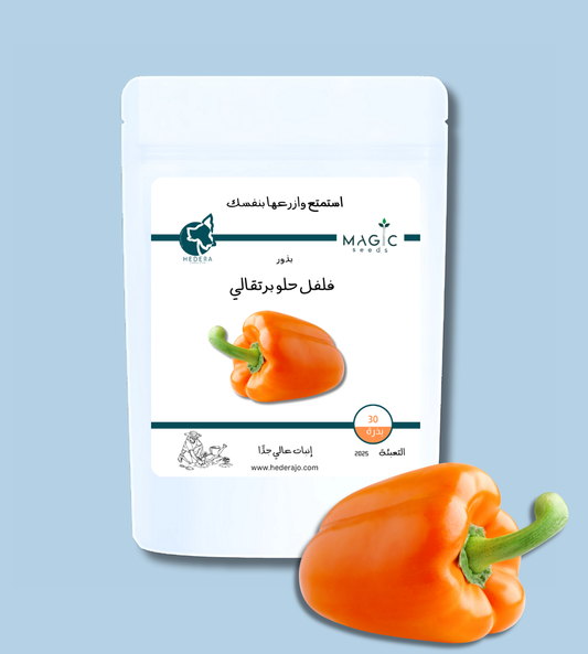 بذور فلفل حلو برتقالي عالية الجودة – High Quality Orange Sweet Pepper Seeds