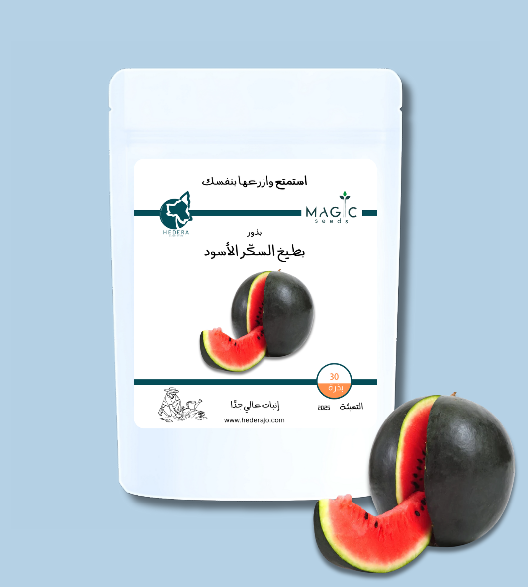 بذور بطيخ السُّكَّر الأسود عالية الجودة – High Quality Black Sugar Watermelon Seeds