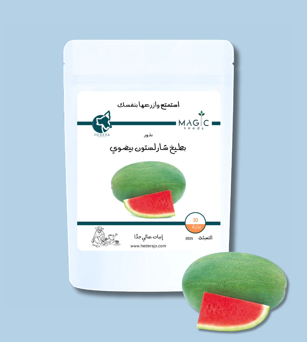بذور بطيخ شارلستون بيضوي عالية الجودة – High Quality Charleston Grey Watermelon Seeds