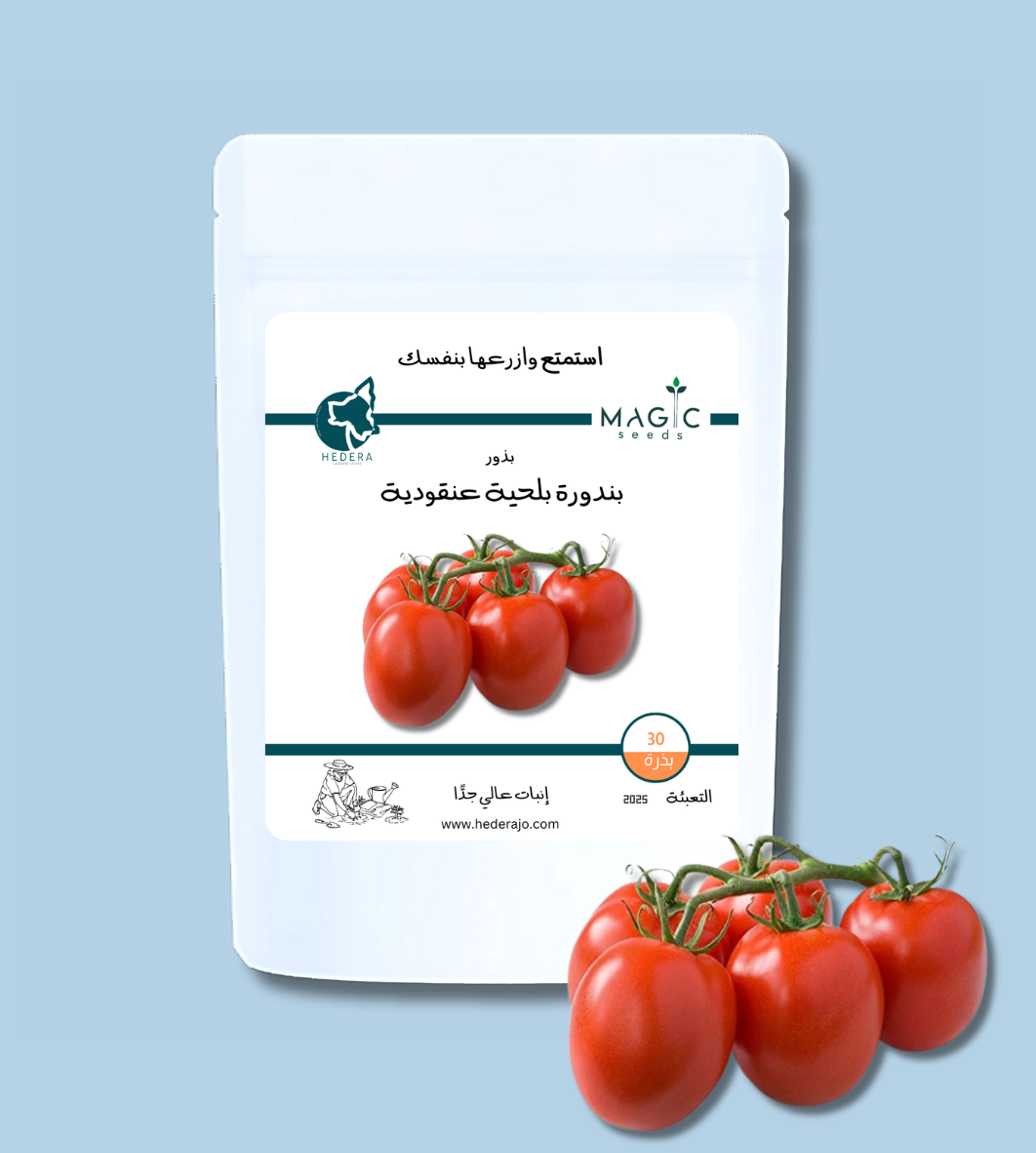 بذور بندورة بلحية عنقودية عالية الجودة – High Quality Cluster “Balhiyeh” Tomato Seeds