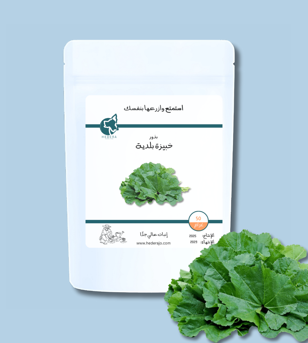 بذور خبيزة بلدية عالية الجودة للحديقة المنزلية | High Quality Cheeseweed Seeds