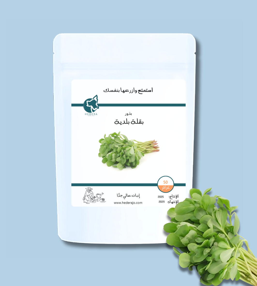 بذور بقلة فرفحينا عالية الجودة صالحة للأكل | High Quality Purslane Seeds