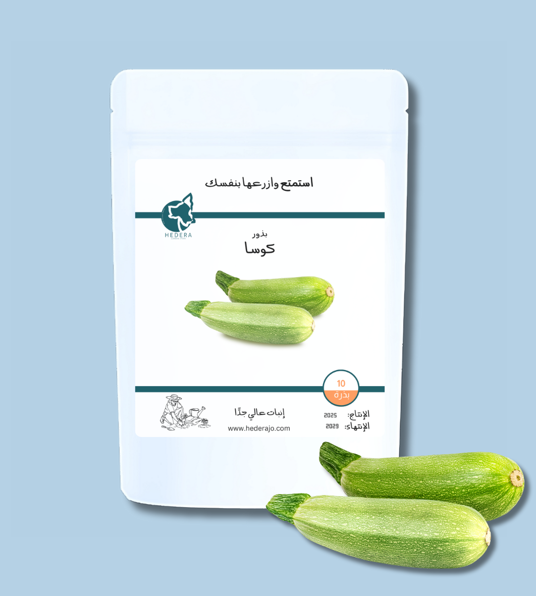 بذور كوسا عالية الجودة للزراعة المنزلية والحقلية