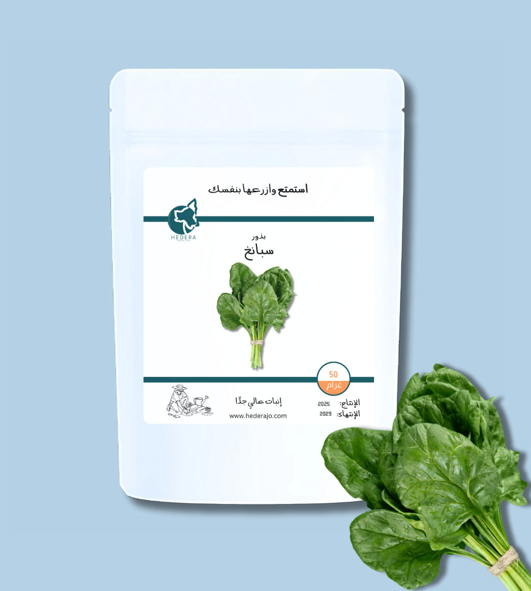 بذور سبانخ عالية الجودة سريعة النمو ومقاومة للأمراض | High Quality Spinach Seeds