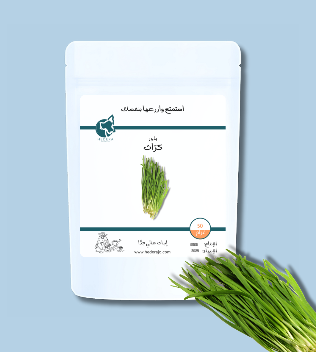 بذور كُراث عالية الجودة - High Quality leek Seeds