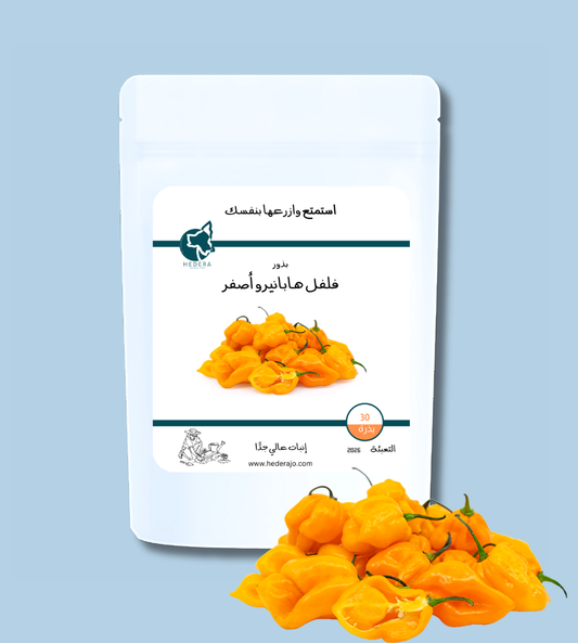 فلفل هابانيرو أصفر كاريبي حار جدًا – Caribbean Habanero Hot Pepper Seeds