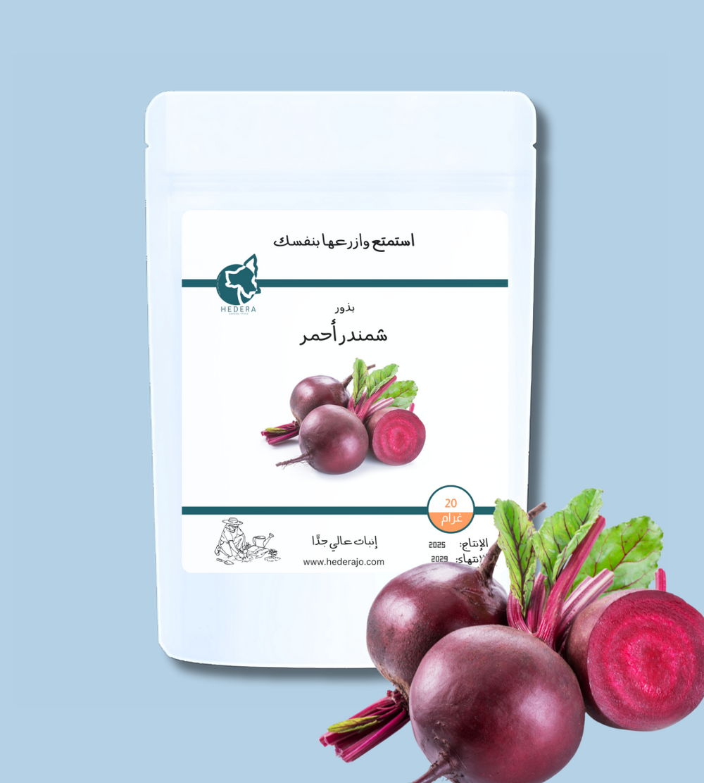 بذور شمندر أحمر عالية الجودة للحدائق المنزلية | High Quality Beetroot Seeds