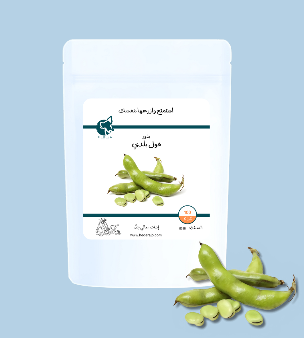 بذور فول بلدي عالية الجودة - High Quality Broad Bean Seeds