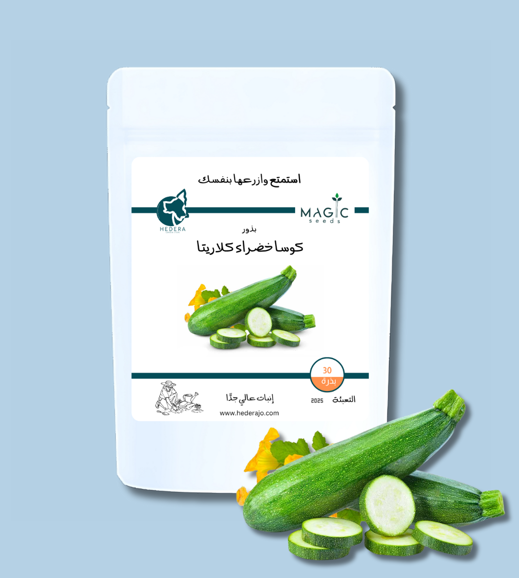 بذور كوسا خضراء كلاريتا عالية الجودة – High Quality Clarita Green Zucchini Seeds