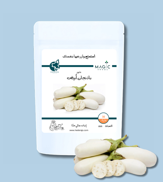 بذور باذنجان أبيض عالية الجودة – High Quality White Eggplant Seeds