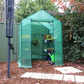 بيت بلاستيكي للحديقة بأربع طبقات مع غطاء مقوى - Greenlife 4-Tier Walk-in Greenhouse with PE Cover